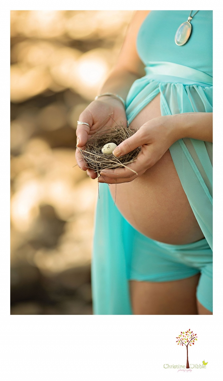 Sonora, CA Custom Portrait Photographer Christine Dibble Photography_1750.jpg