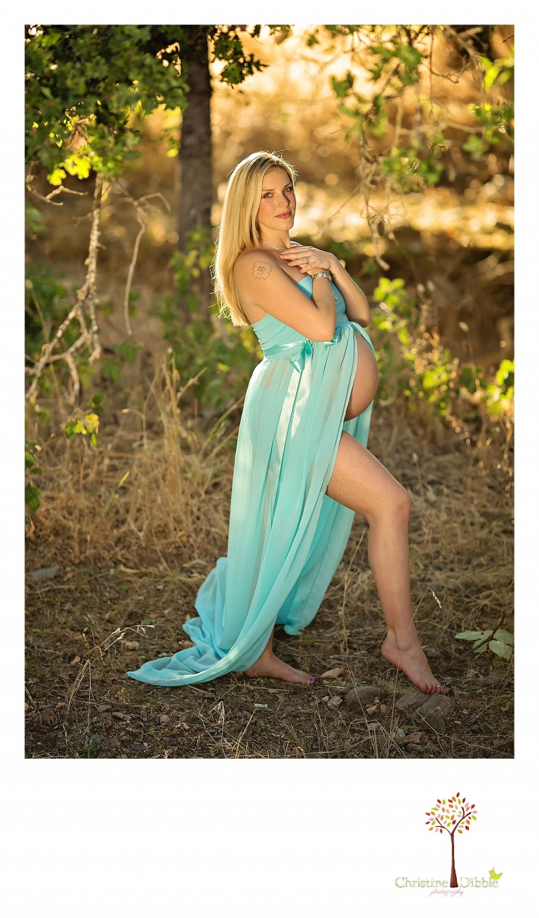 Sonora, CA Custom Portrait Photographer Christine Dibble Photography_1752.jpg