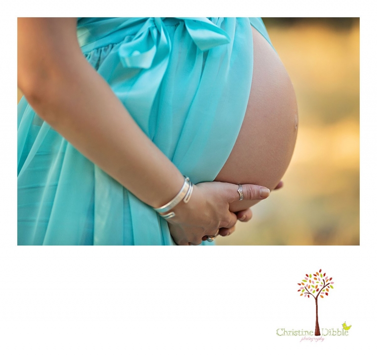 Sonora, CA Custom Portrait Photographer Christine Dibble Photography_1756.jpg