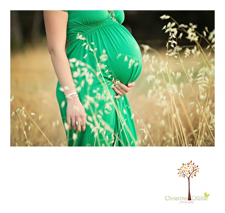 Sonora, CA Custom Portrait Photographer Christine Dibble Photography_1760.jpg