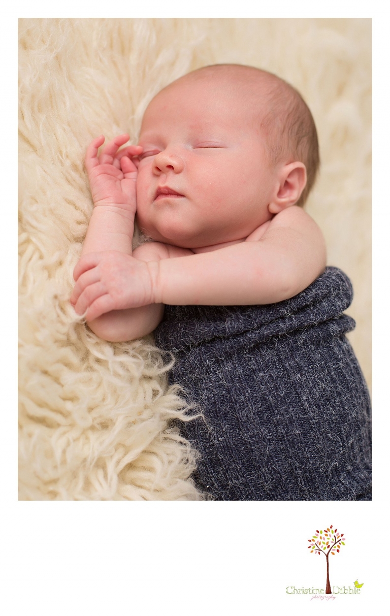 Sonora, CA Custom Portrait Photographer Christine Dibble Photography_1779.jpg