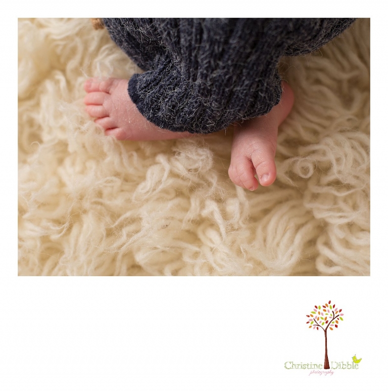 Sonora, CA Custom Portrait Photographer Christine Dibble Photography_1780.jpg