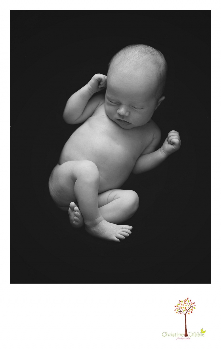 Sonora, CA Custom Portrait Photographer Christine Dibble Photography_1783.jpg