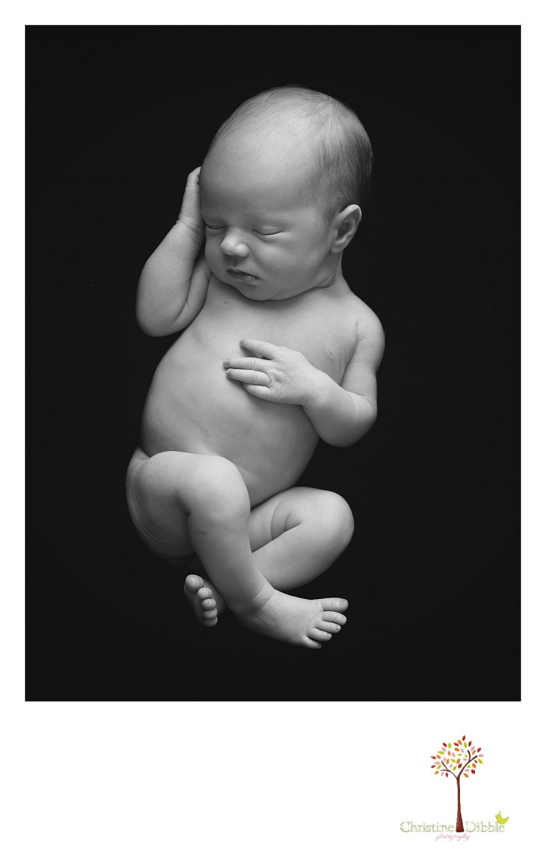 Sonora, CA Custom Portrait Photographer Christine Dibble Photography_1784.jpg