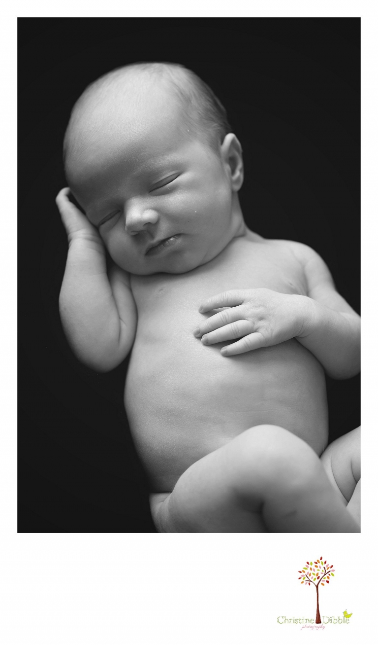 Sonora, CA Custom Portrait Photographer Christine Dibble Photography_1785.jpg