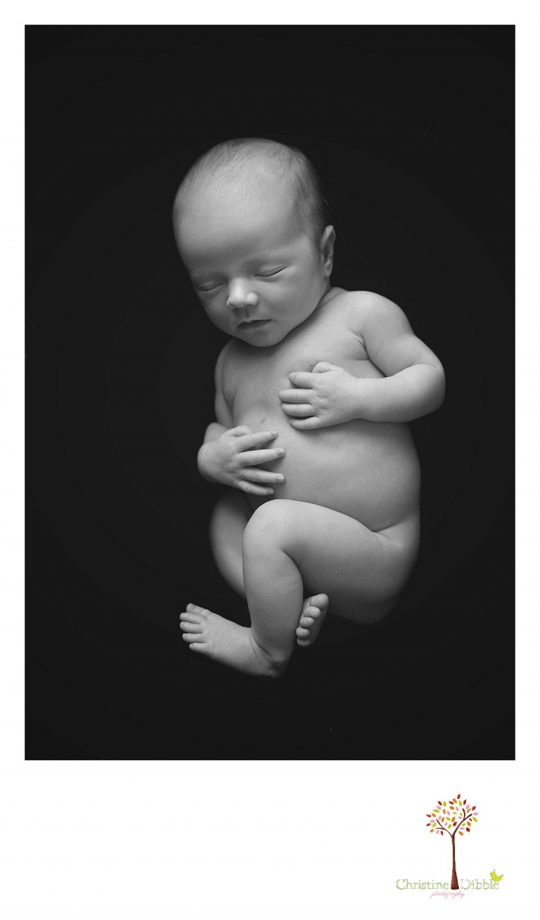 Sonora, CA Custom Portrait Photographer Christine Dibble Photography_1786.jpg