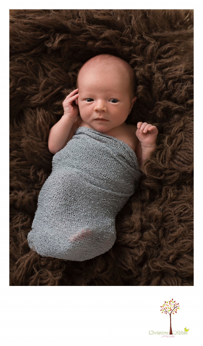 Sonora, CA Custom Portrait Photographer Christine Dibble Photography_1787.jpg