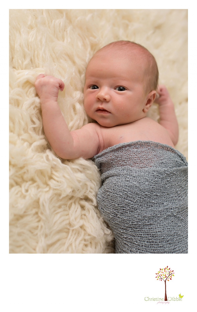 Sonora, CA Custom Portrait Photographer Christine Dibble Photography_1788.jpg