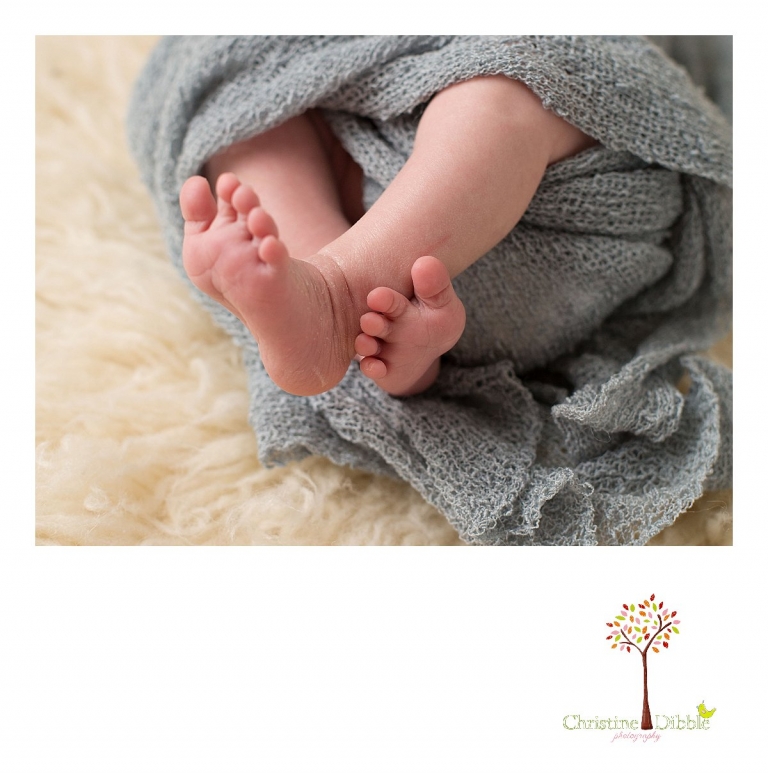 Sonora, CA Custom Portrait Photographer Christine Dibble Photography_1789.jpg