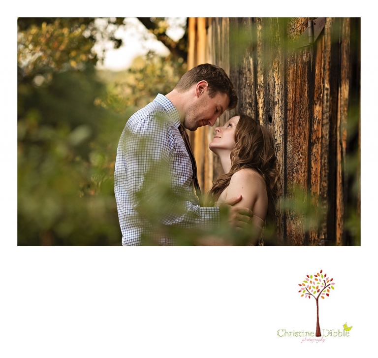 Sonora, CA Custom Portrait Photographer Christine Dibble Photography_1824.jpg
