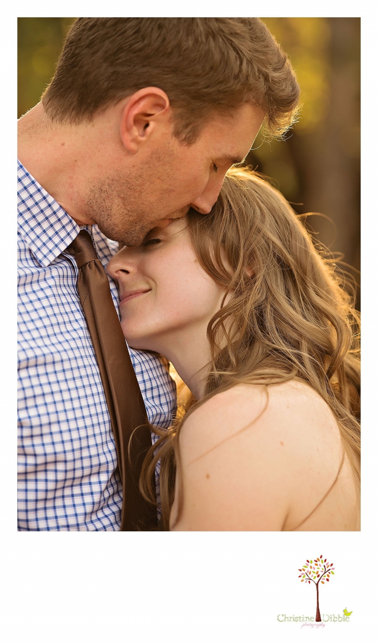 Sonora, CA Custom Portrait Photographer Christine Dibble Photography_1829.jpg