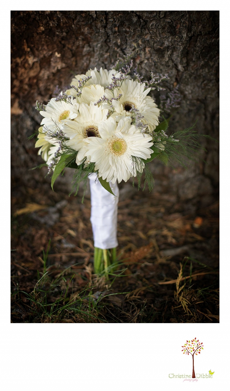 Sonora, CA Custom Portrait Photographer Christine Dibble Photography_1853.jpg