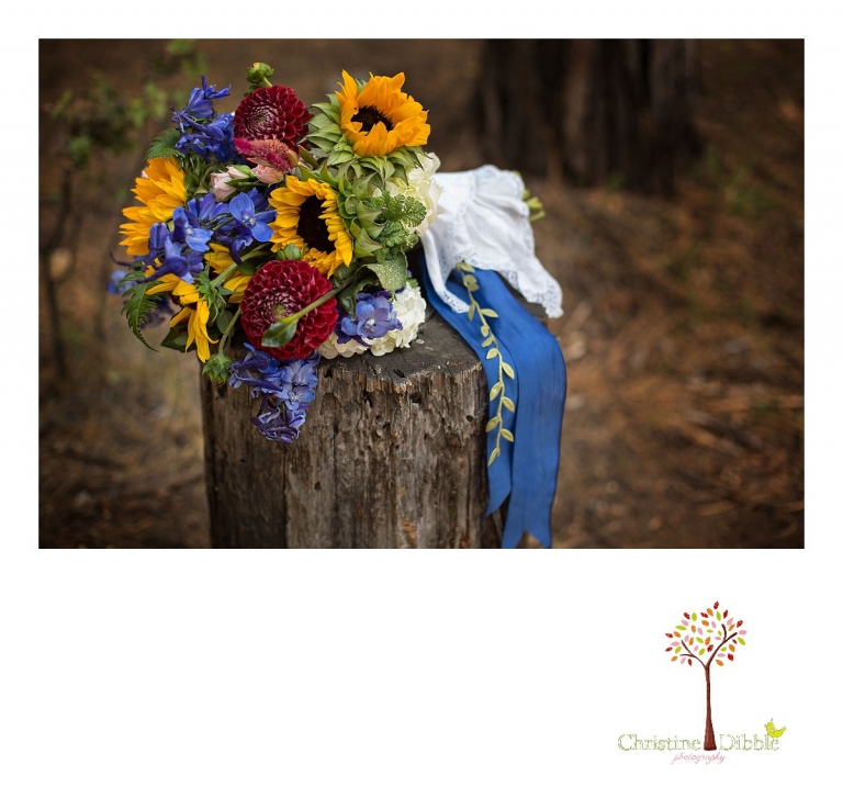 Sonora, CA Custom Portrait Photographer Christine Dibble Photography_1928.jpg