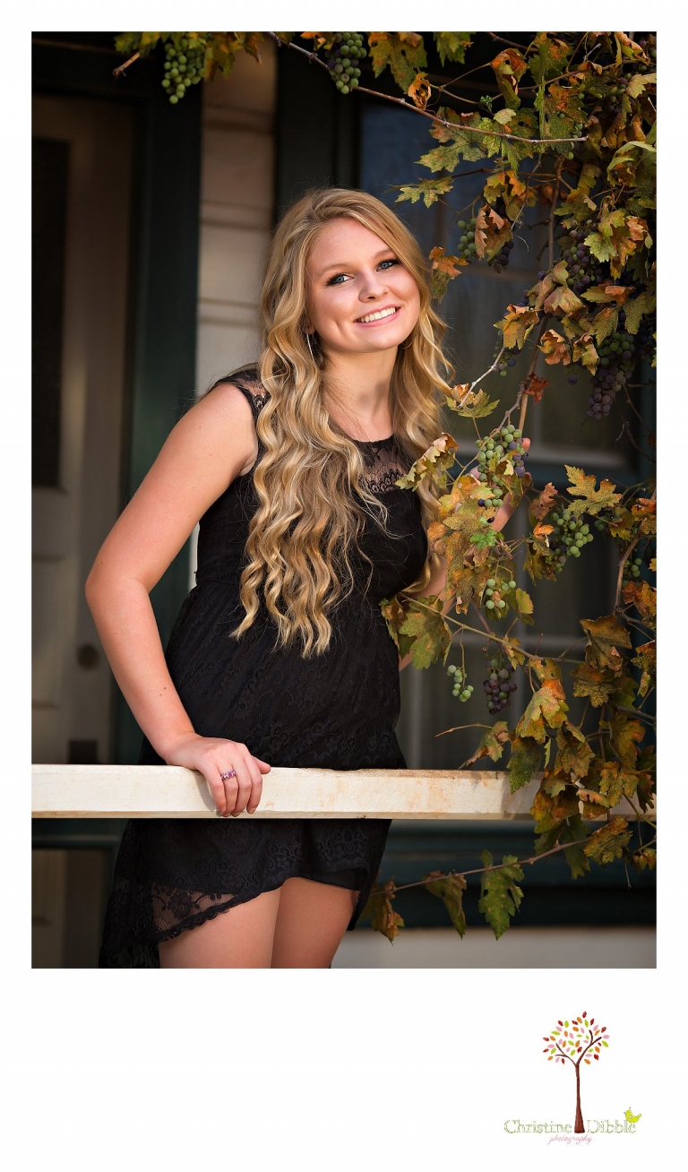 Sonora, CA Custom Portrait Photographer Christine Dibble Photography_1962.jpg