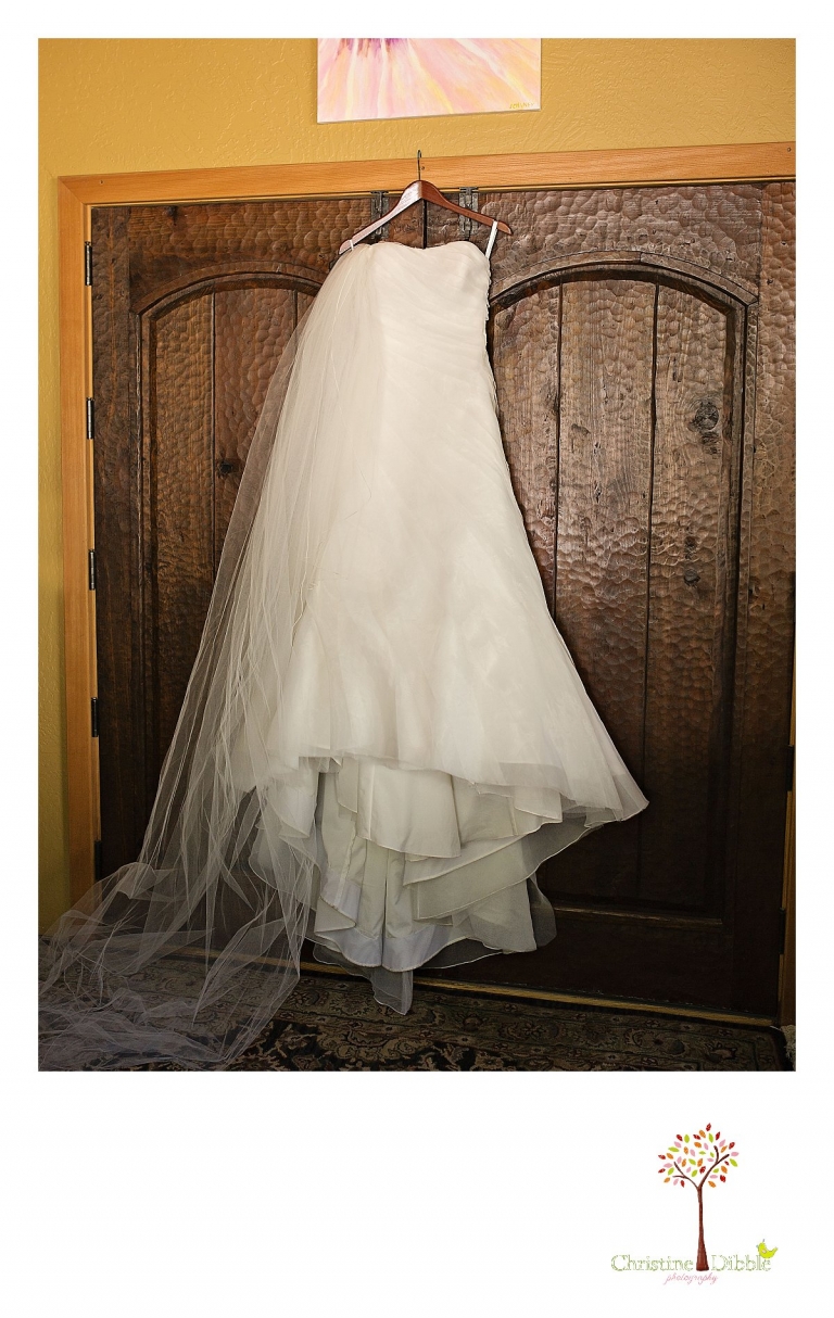 Sonora, CA Custom Portrait Photographer Christine Dibble Photography_2126.jpg