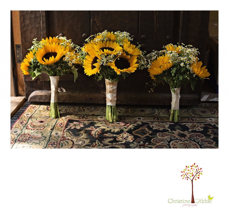 Sonora, CA Custom Portrait Photographer Christine Dibble Photography_2129.jpg