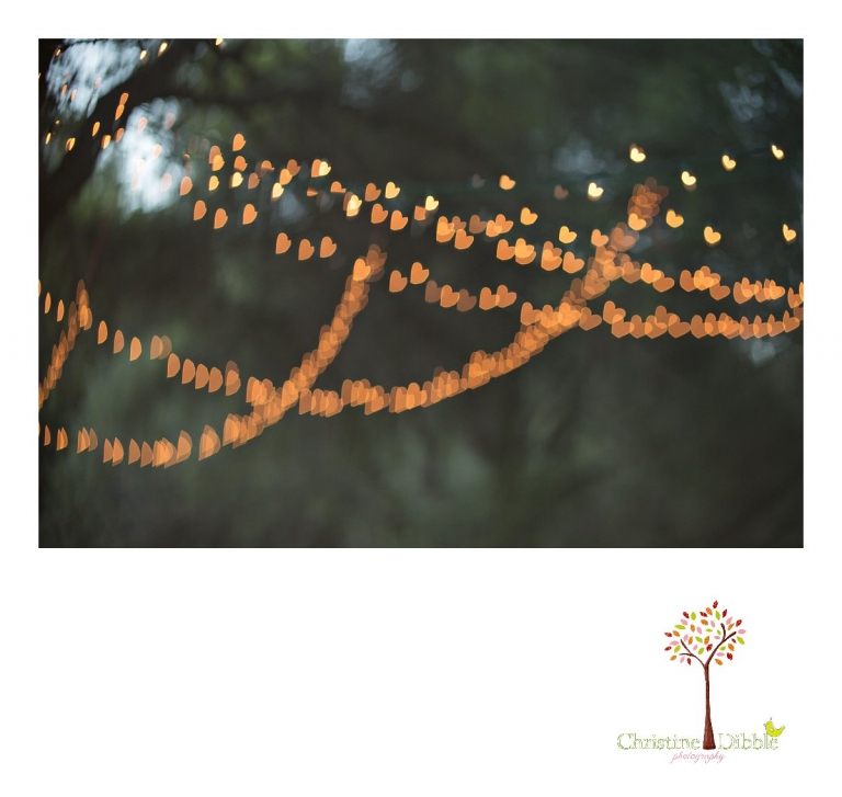 Sonora, CA Custom Portrait Photographer Christine Dibble Photography_2159.jpg