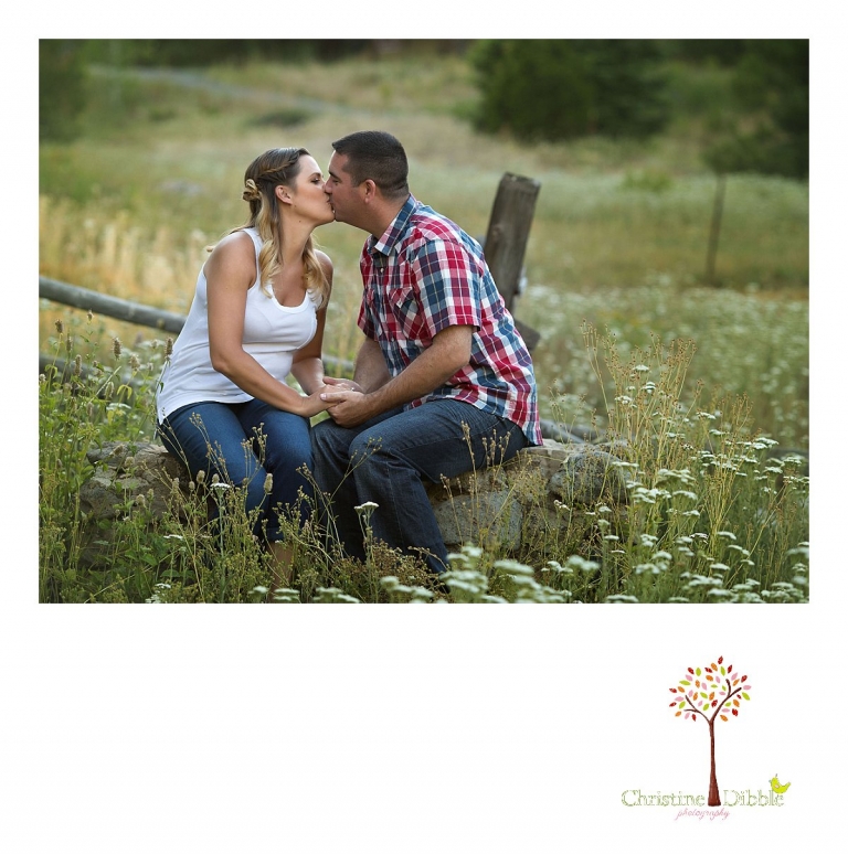 An engeged couple sit on a wall among a field of wildflowers while Sonora, CA engagement and wedding photographer Christine Dibble Photography takes their photos.