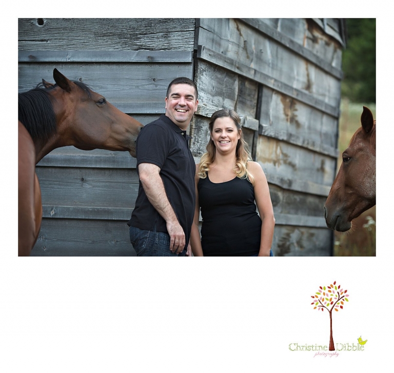 An engeged couple laugh at a horse eating the groom's shirt while Sonora, CA engagement and wedding photographer Christine Dibble Photography takes their photos.
