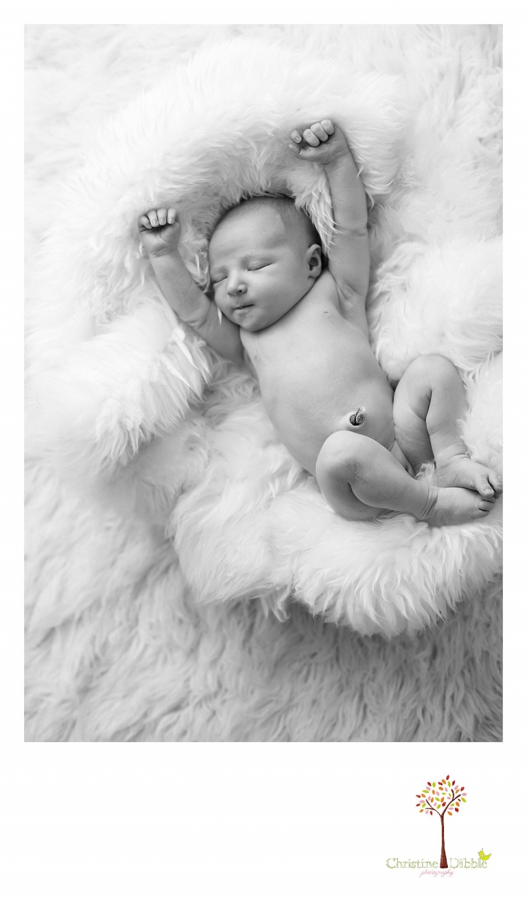 Sonora, CA Custom Portrait Photographer Christine Dibble Photography_2284.jpg