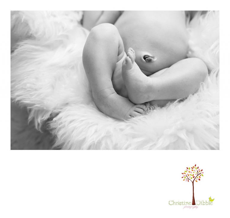 Sonora, CA Custom Portrait Photographer Christine Dibble Photography_2285.jpg