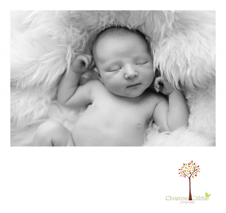 Sonora, CA Custom Portrait Photographer Christine Dibble Photography_2286.jpg
