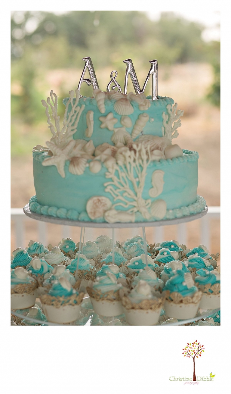 Sonora, CA Custom Portrait Photographer Christine Dibble Photography_2388.jpg