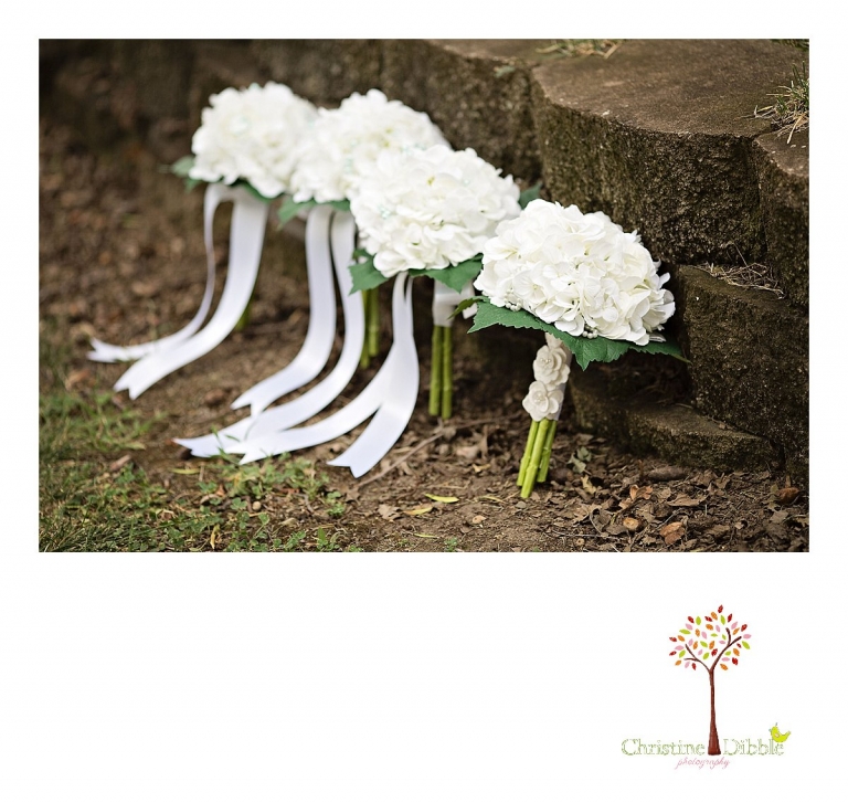 Sonora, CA Custom Portrait Photographer Christine Dibble Photography_2389.jpg