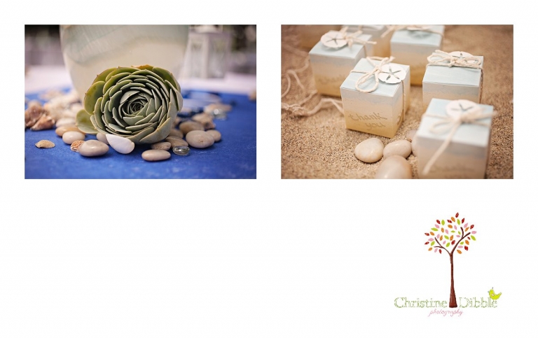 Sonora, CA Custom Portrait Photographer Christine Dibble Photography_2390.jpg