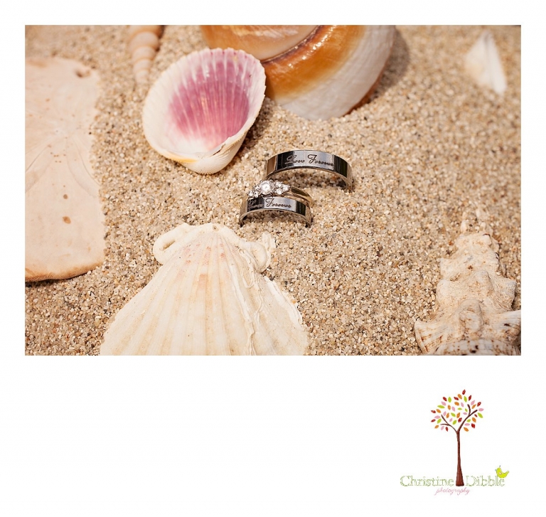 Sonora, CA Custom Portrait Photographer Christine Dibble Photography_2391.jpg