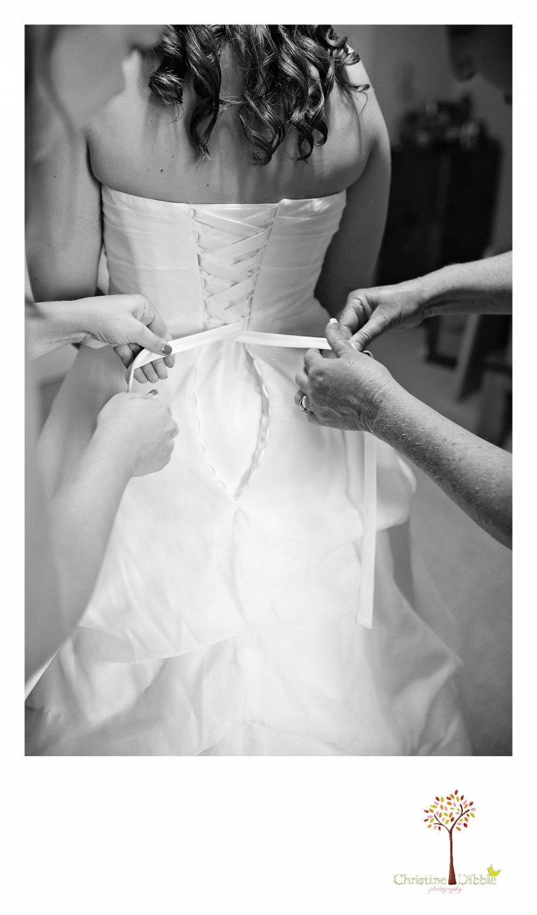 Sonora, CA Custom Portrait Photographer Christine Dibble Photography_2402.jpg