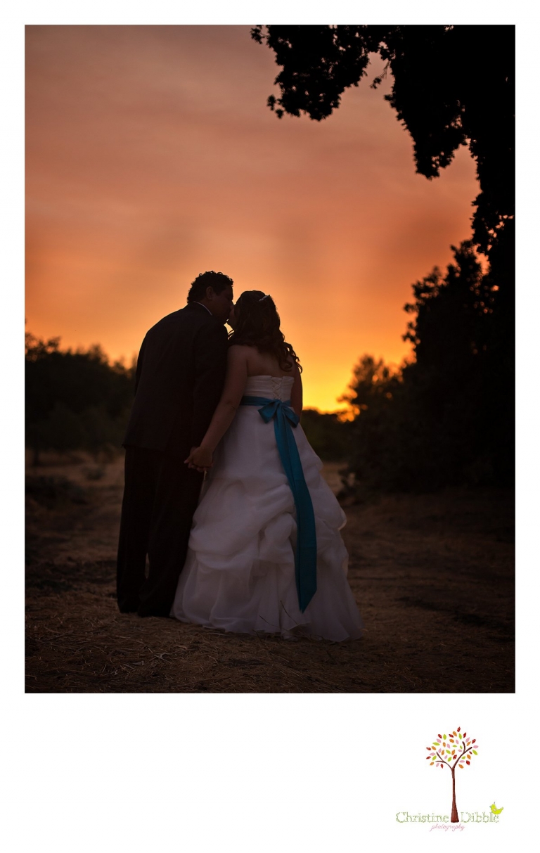 Sonora, CA Custom Portrait Photographer Christine Dibble Photography_2408.jpg