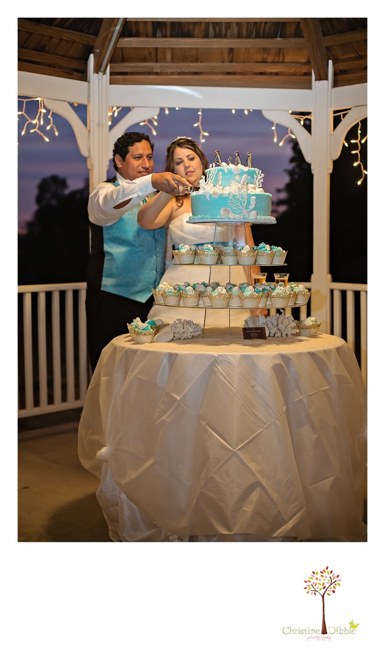 Sonora, CA Custom Portrait Photographer Christine Dibble Photography_2417.jpg