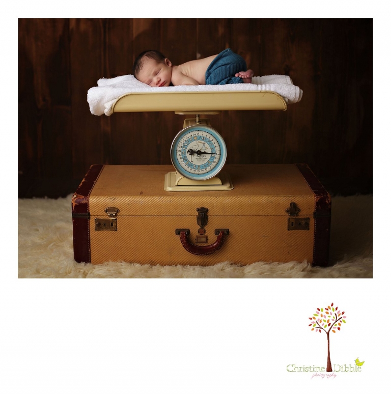 Sonora, CA Custom Portrait Photographer Christine Dibble Photography_2521.jpg