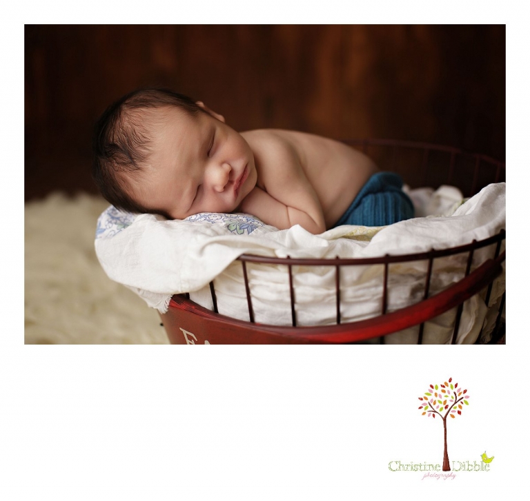 Sonora, CA Custom Portrait Photographer Christine Dibble Photography_2522.jpg