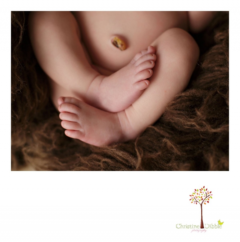 Sonora, CA Custom Portrait Photographer Christine Dibble Photography_2525.jpg