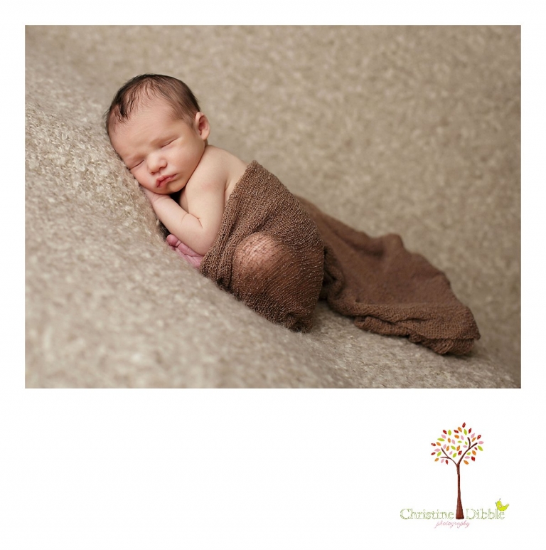 Sonora, CA Custom Portrait Photographer Christine Dibble Photography_2527.jpg