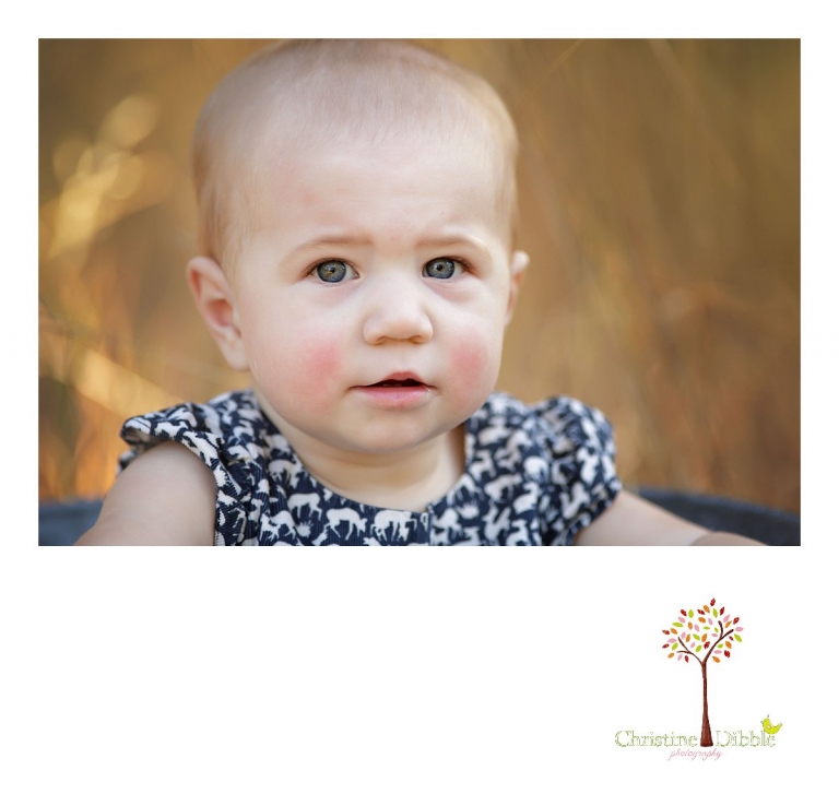 Sonora, CA Custom Portrait Photographer Christine Dibble Photography_2613.jpg