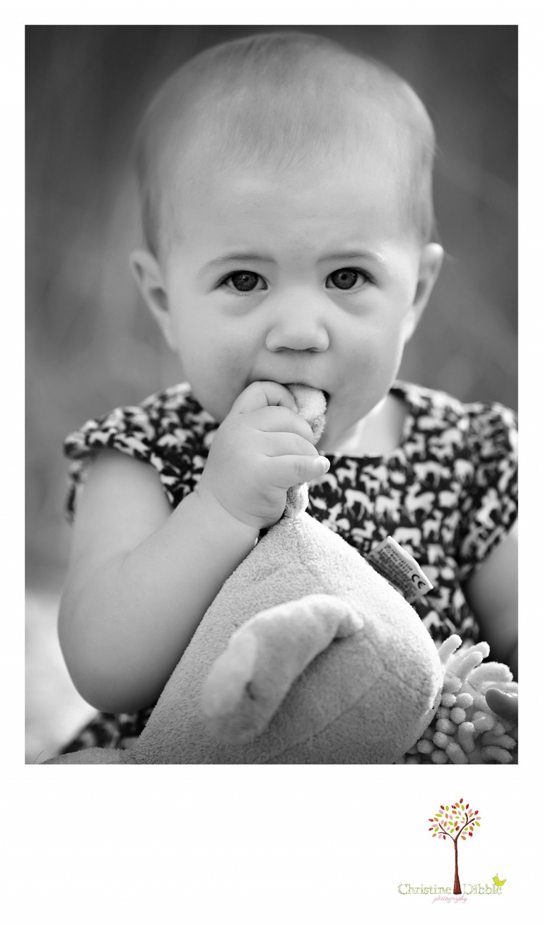 Sonora, CA Custom Portrait Photographer Christine Dibble Photography_2616.jpg