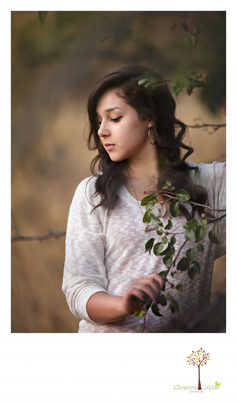 Sonora, CA Custom Portrait Photographer Christine Dibble Photography_2646.jpg