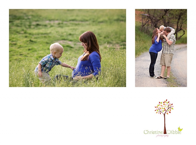 Sonora, CA Custom Portrait Photographer Christine Dibble Photography_2708.jpg
