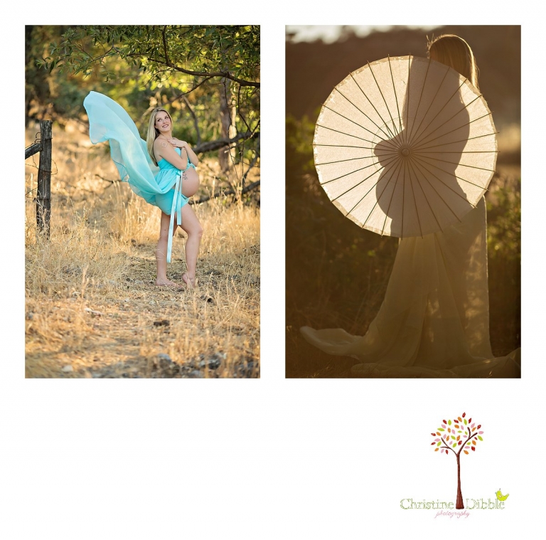 Sonora, CA Custom Portrait Photographer Christine Dibble Photography_2711.jpg