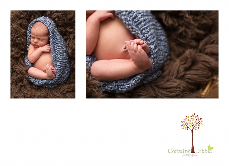 Sonora, CA Custom Portrait Photographer Christine Dibble Photography_2712.jpg