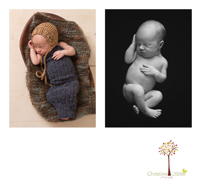 Sonora, CA Custom Portrait Photographer Christine Dibble Photography_2714.jpg