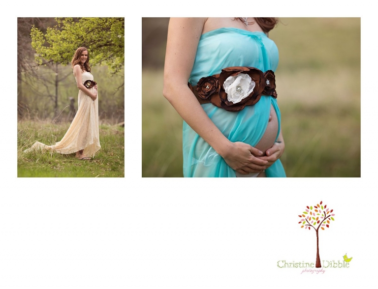 Sonora, CA Custom Portrait Photographer Christine Dibble Photography_2719.jpg