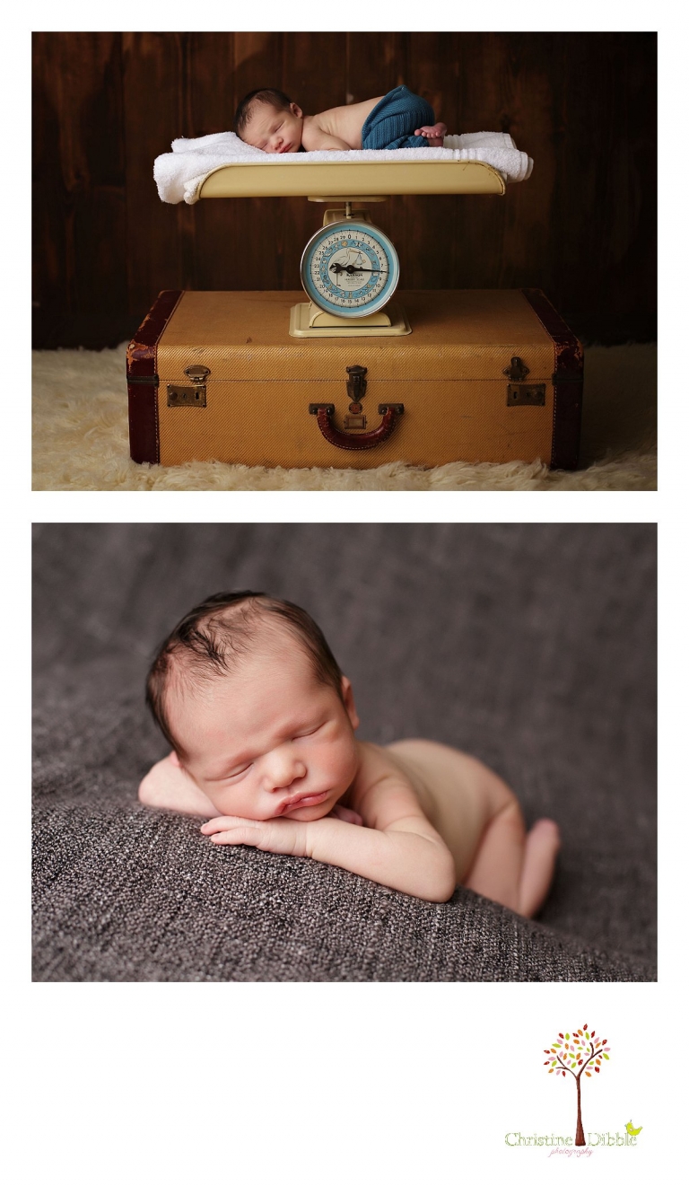 Sonora, CA Custom Portrait Photographer Christine Dibble Photography_2722.jpg