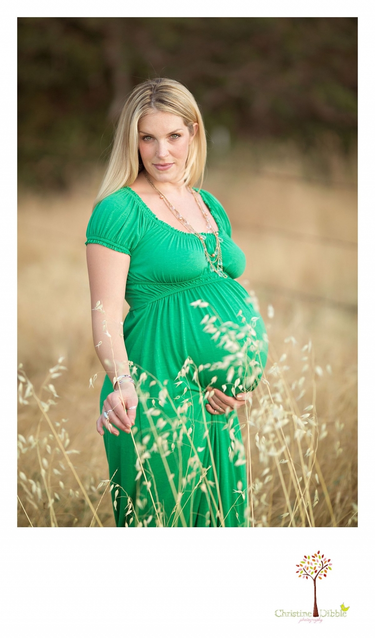 Sonora, CA Custom Portrait Photographer Christine Dibble Photography_2728.jpg