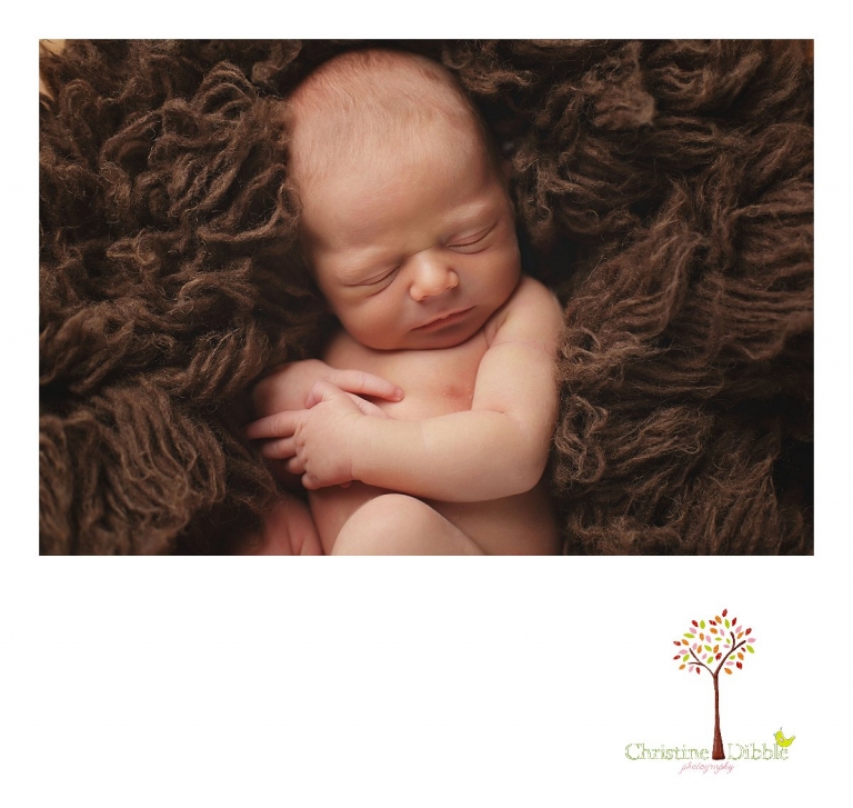 Sonora, CA Custom Portrait Photographer Christine Dibble Photography_2734.jpg