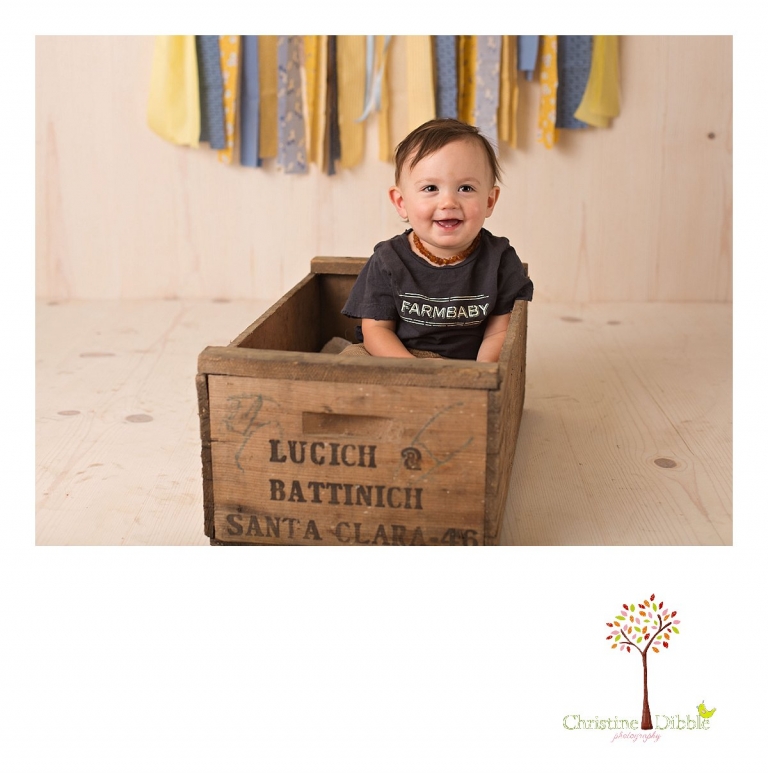 Sonora newborn and baby photographer Christine Dibble Photography takes photos of a baby boy for his first birthday with blues and yellows, fruit, and vintage crates and wash tubs.
