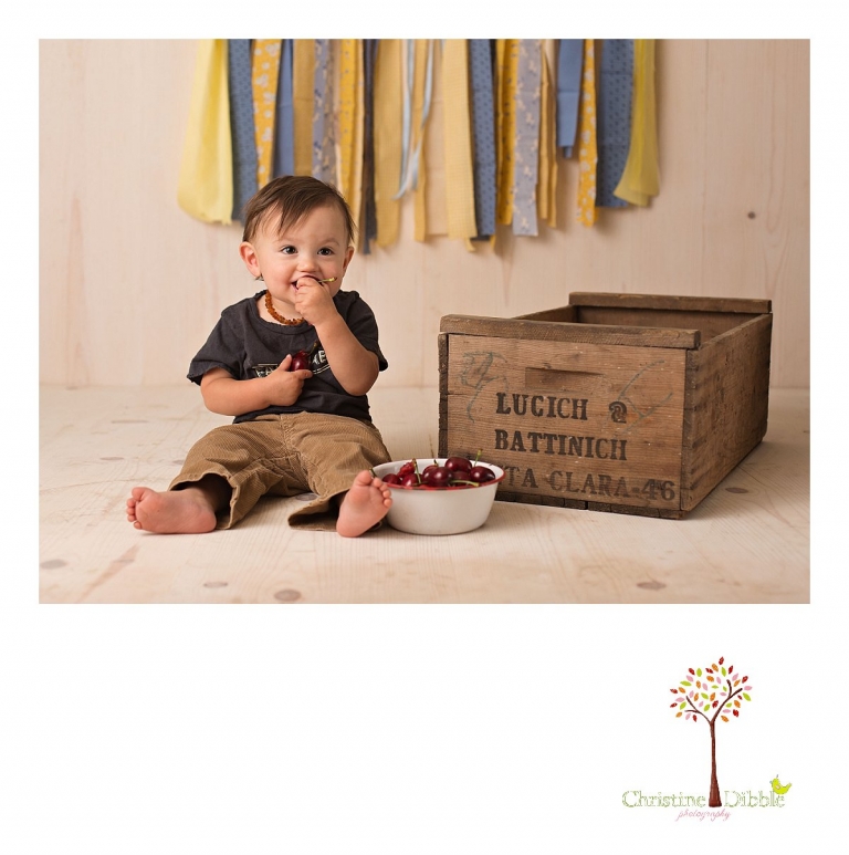 Sonora newborn and baby photographer Christine Dibble Photography takes photos of a baby boy for his first birthday with blues and yellows, fruit, and vintage crates and wash tubs.